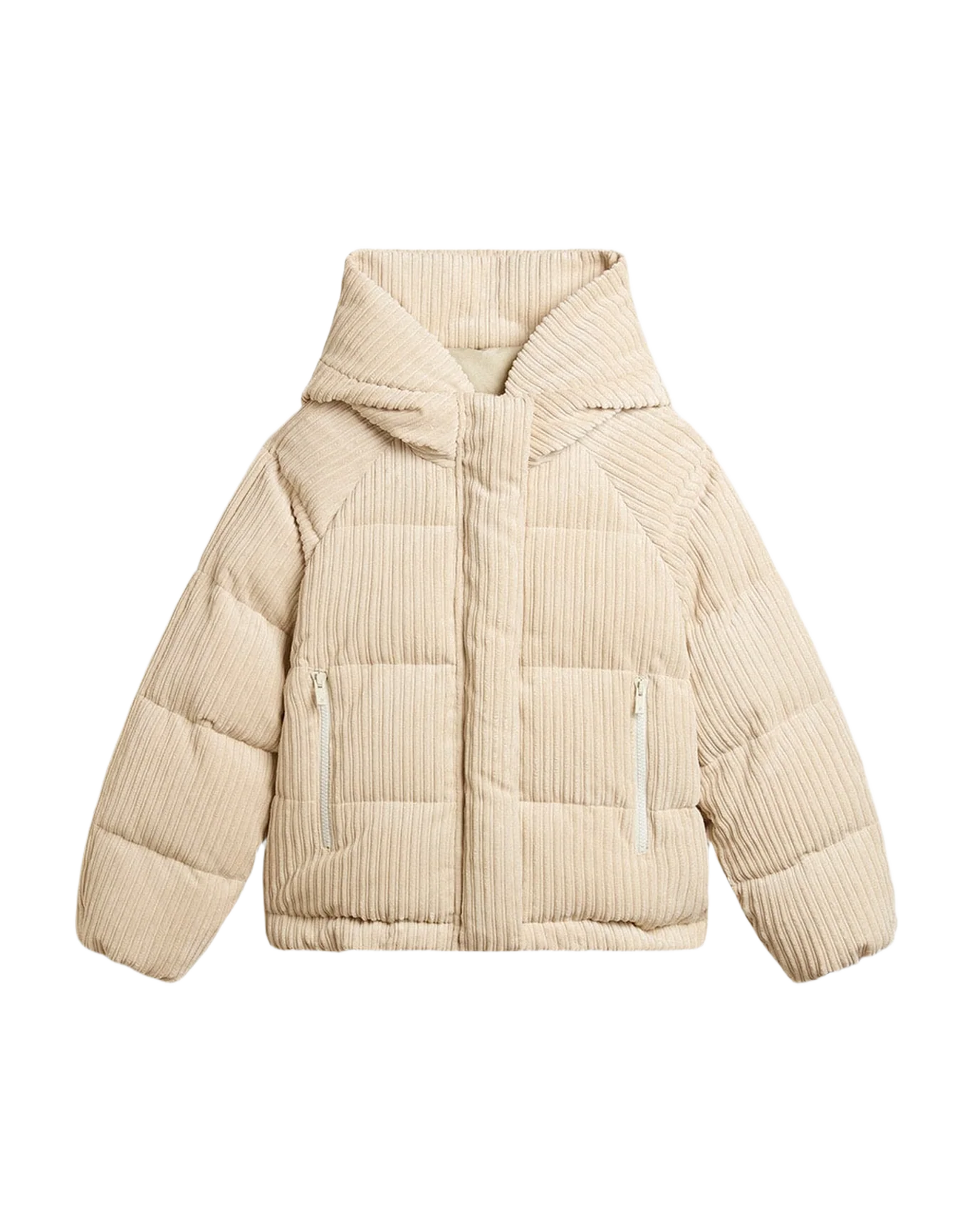 Women | Padded Ecodown Jacket With Zip Fastening And Hood | Papyrus