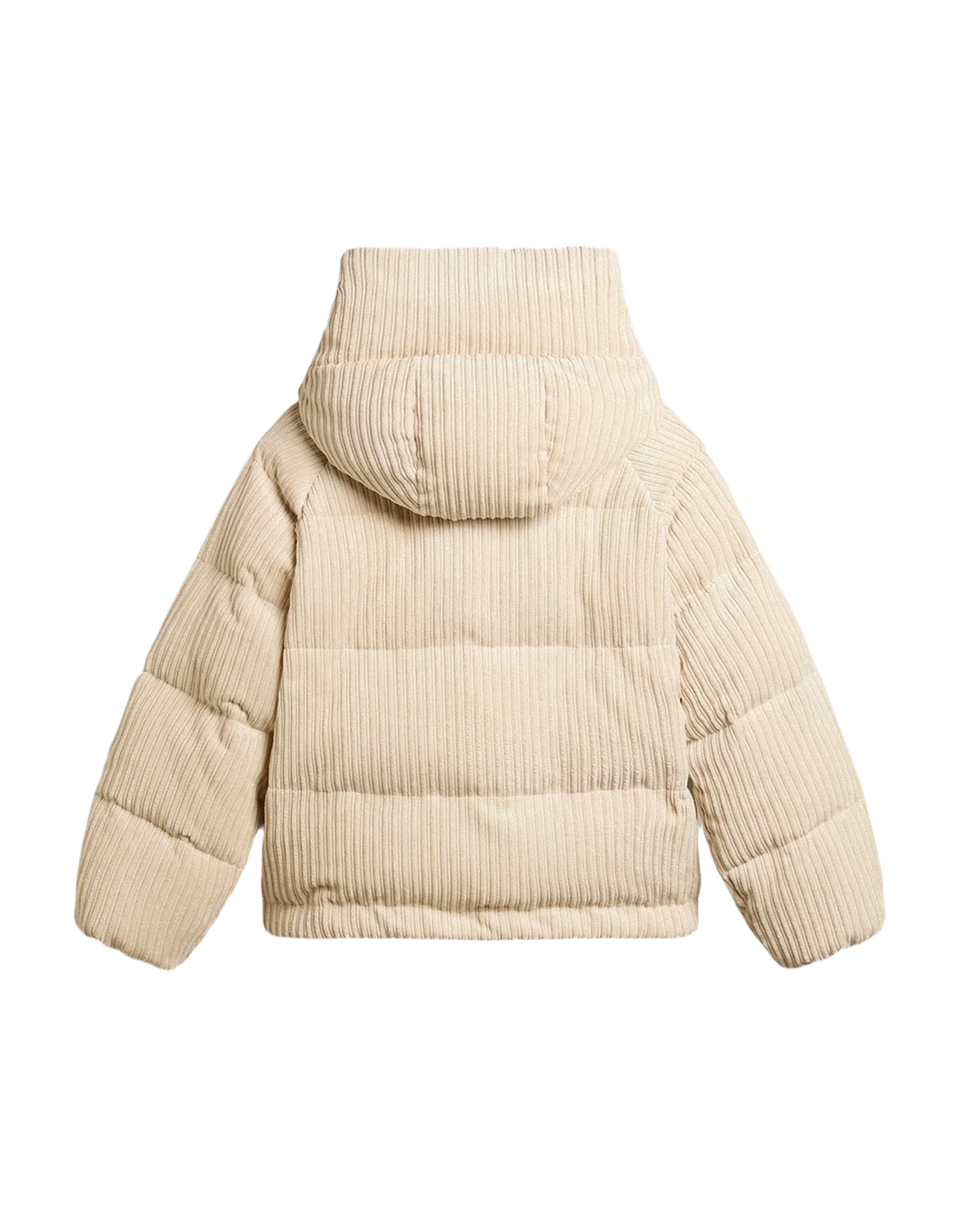 Women | Padded Ecodown Jacket With Zip Fastening And Hood | Papyrus - Image 13