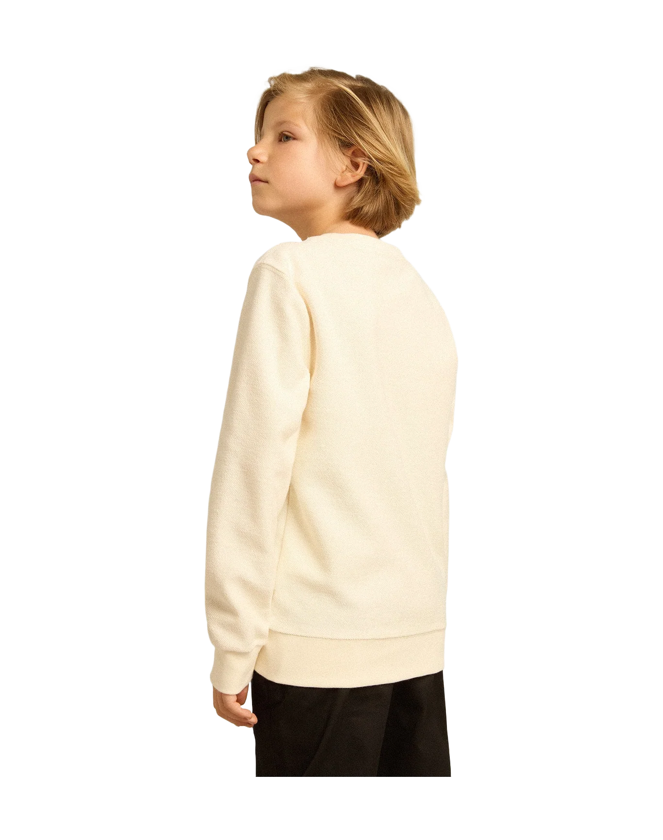 Kids | Sweatshirt Aged White with Multicolor Golden Lettering On The Front | Artic Wolf x Multicolor - Image 7