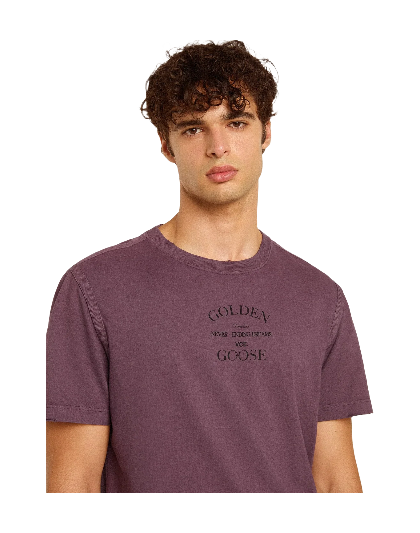 Men | Cotton T-Shirt Worn Purple with Logo Print | Purple x Black - Image 3