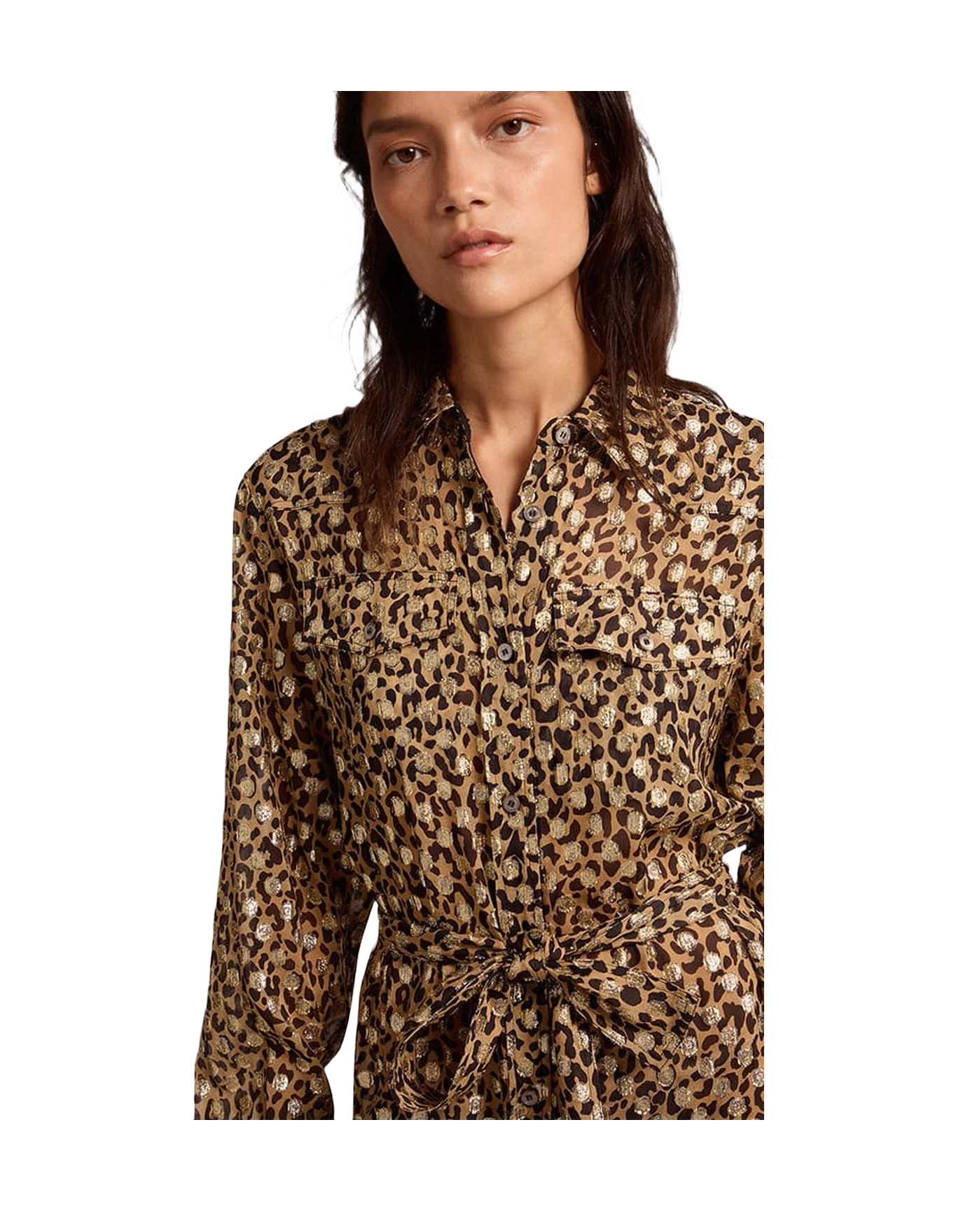 Women | Shirt Dress with Animal Print & Gold Fil Coupé | Tannin x Black x Gold - Image 3