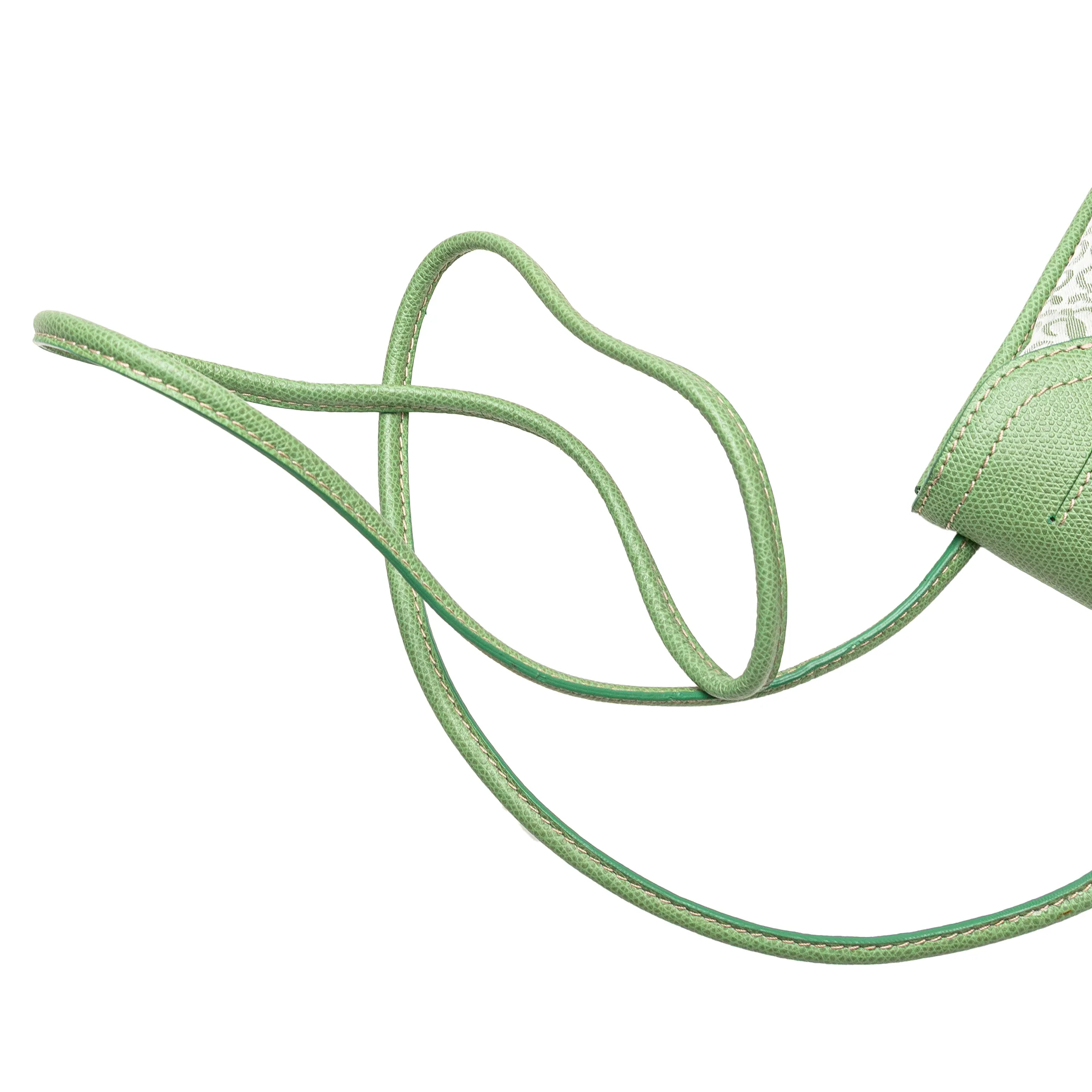 LOEWE | Pre-Owned Anagram Canvas Crossbody | Green/Light Green - Image 4