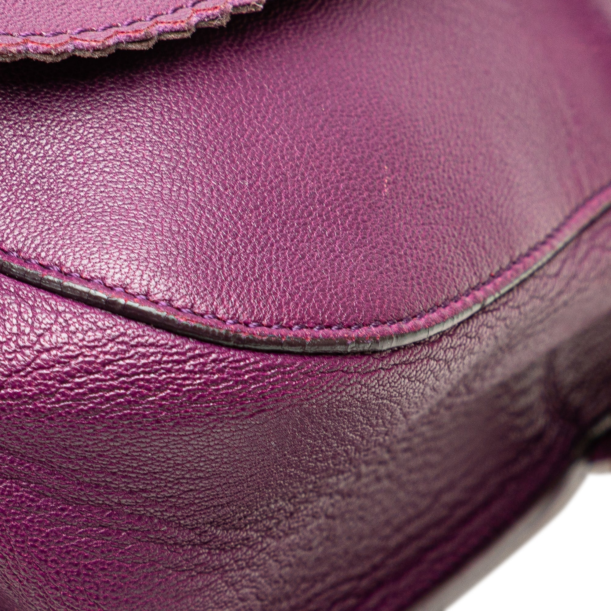 LOEWE | Pre-Owned Nappa Anagram Tassel Crossbody | Purple - Image 13