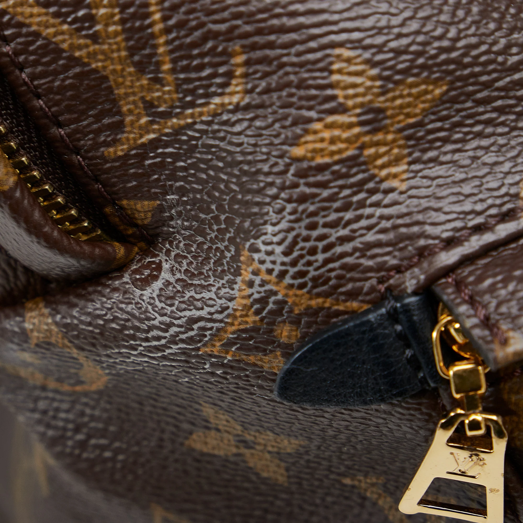 Louis Vuitton | Pre-Owned Monogram Palm Springs MM | Brown - Image 12