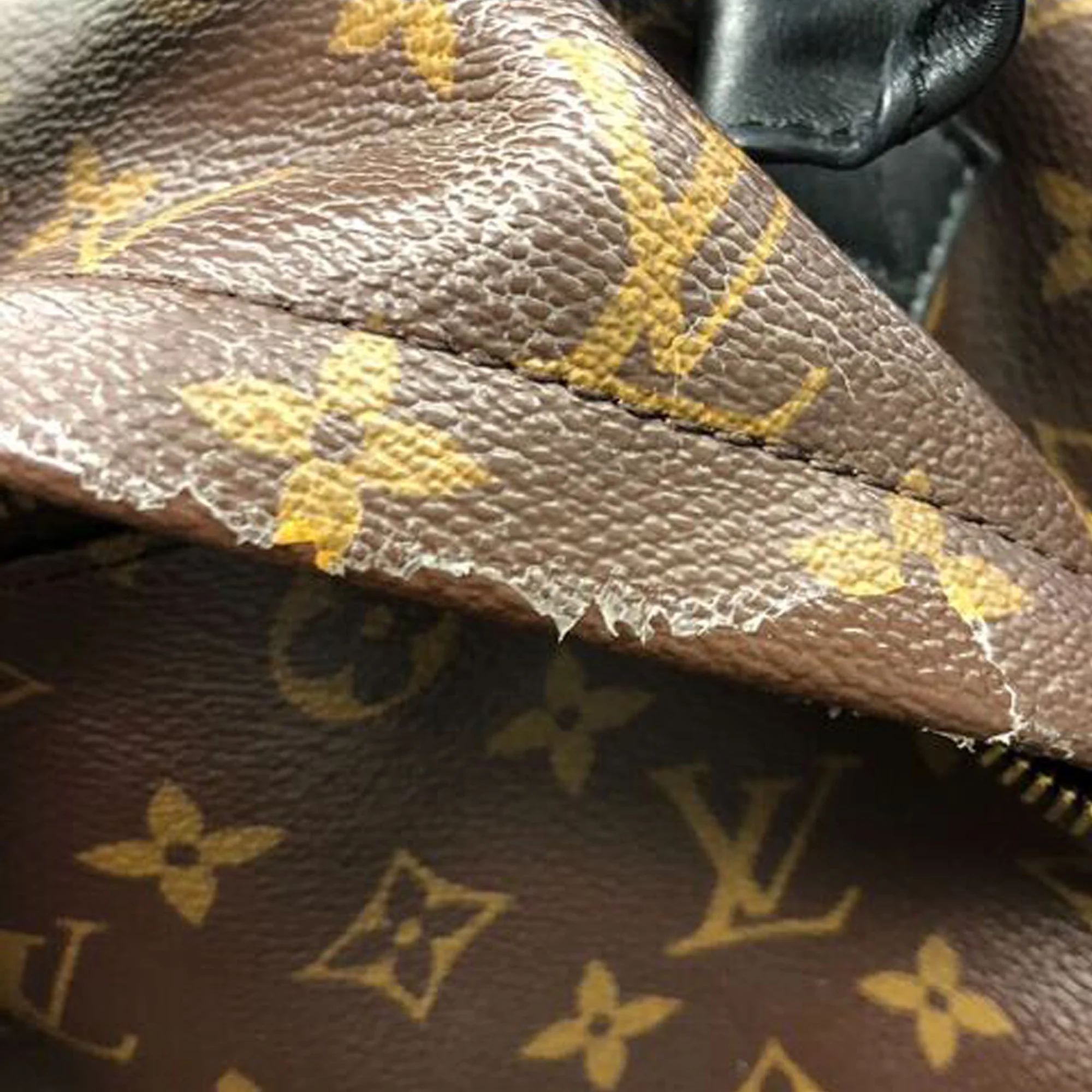 Louis Vuitton | Pre-Owned Monogram Palm Springs MM | Brown - Image 3