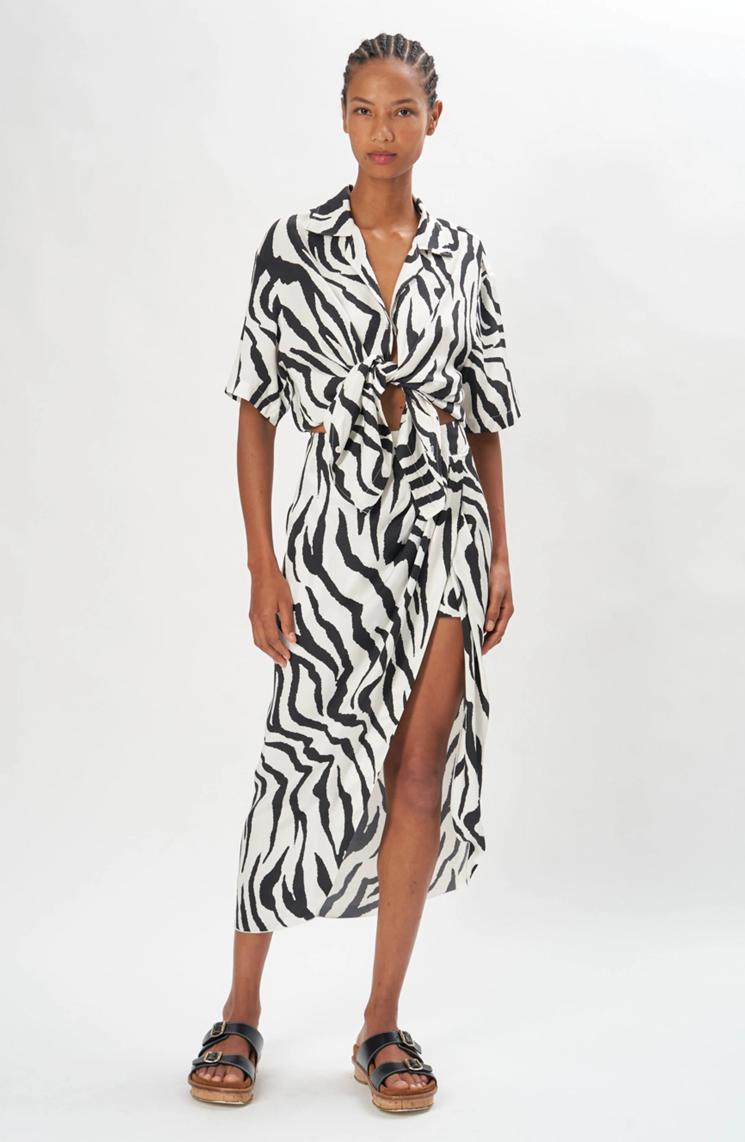 Greg Skirt | Zebra