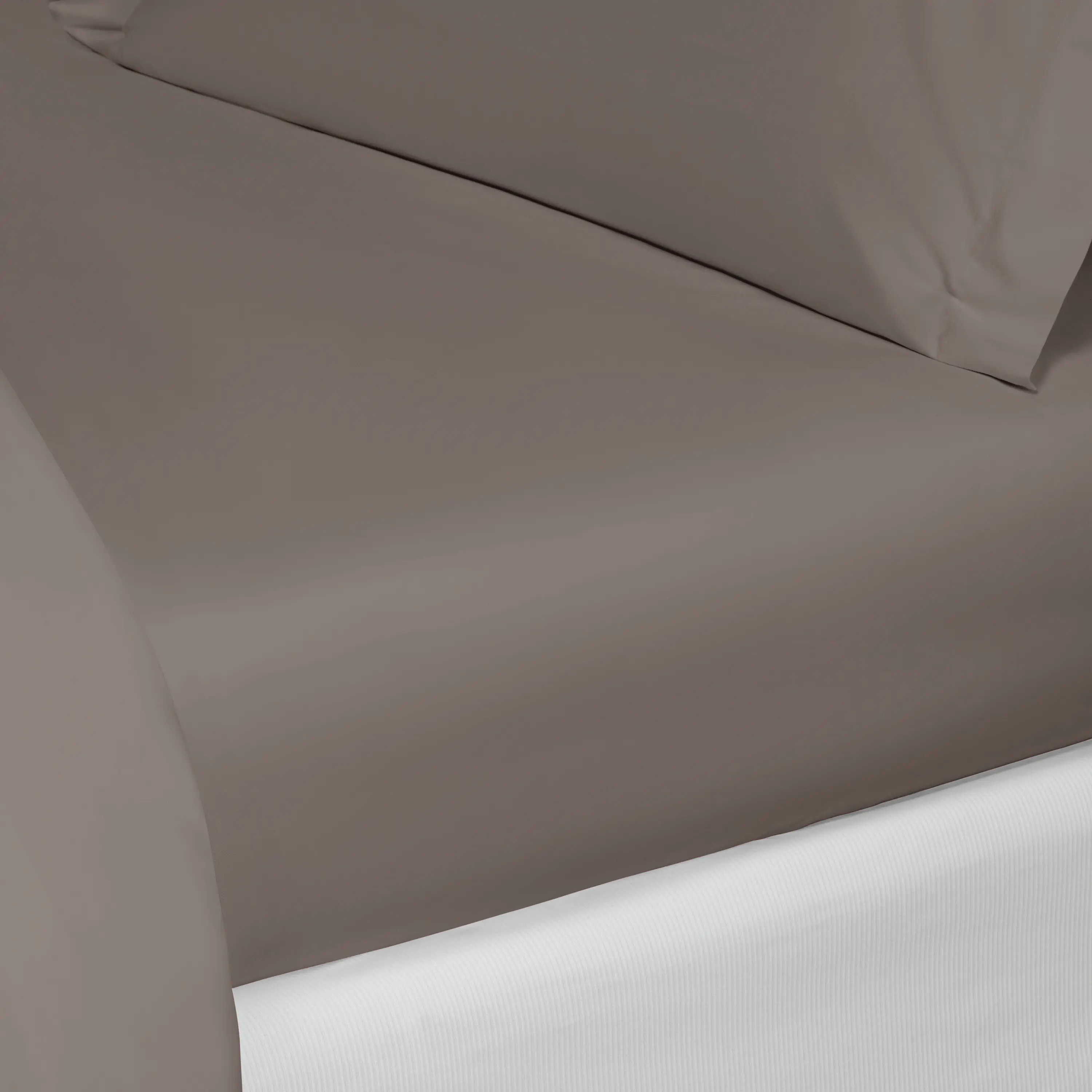 Flat Sheet - Royal | Taupe | King