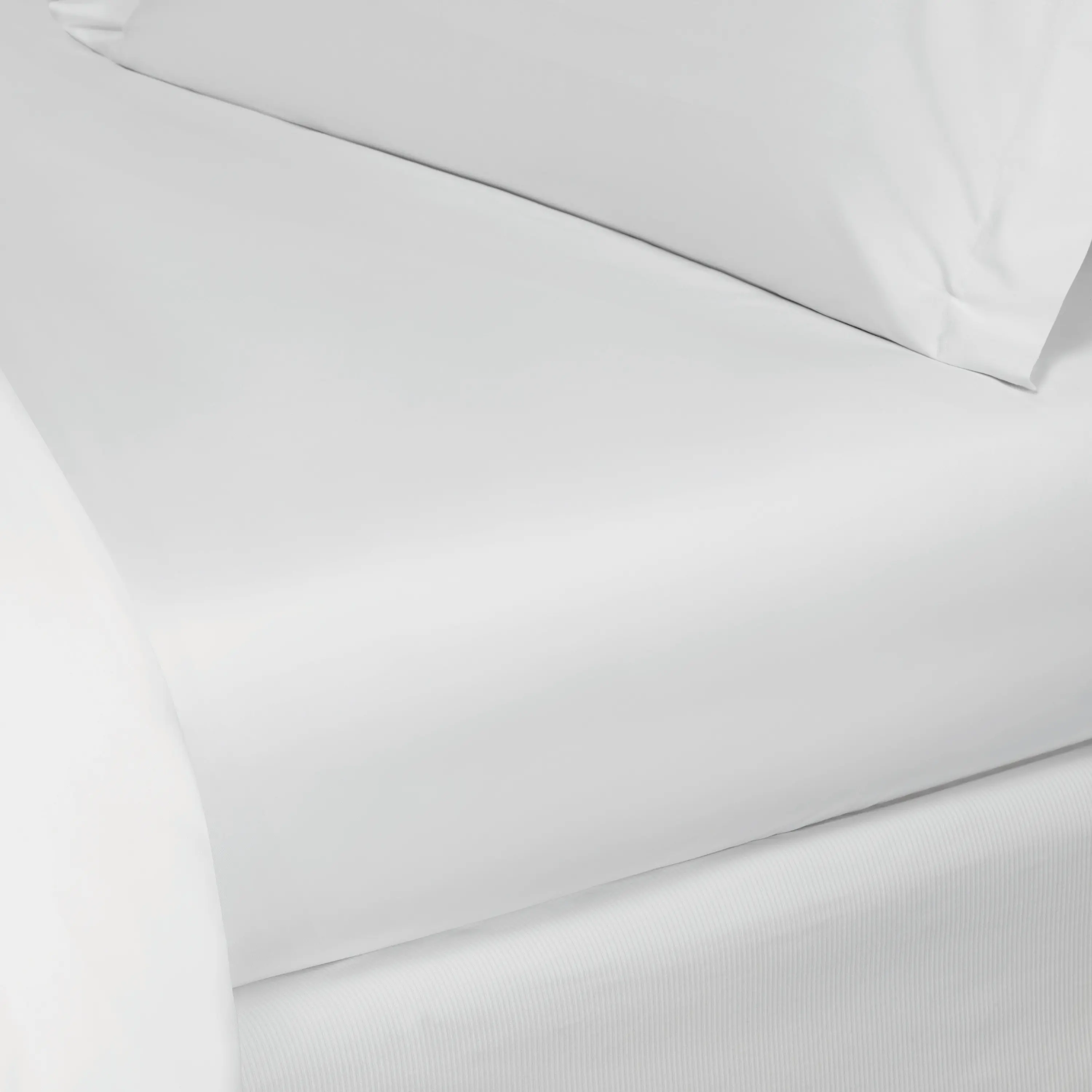 Flat Sheet - Royal | White | King